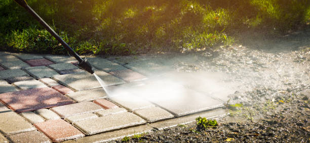 Best Driveway Pressure Washing  in Adwolf, VA